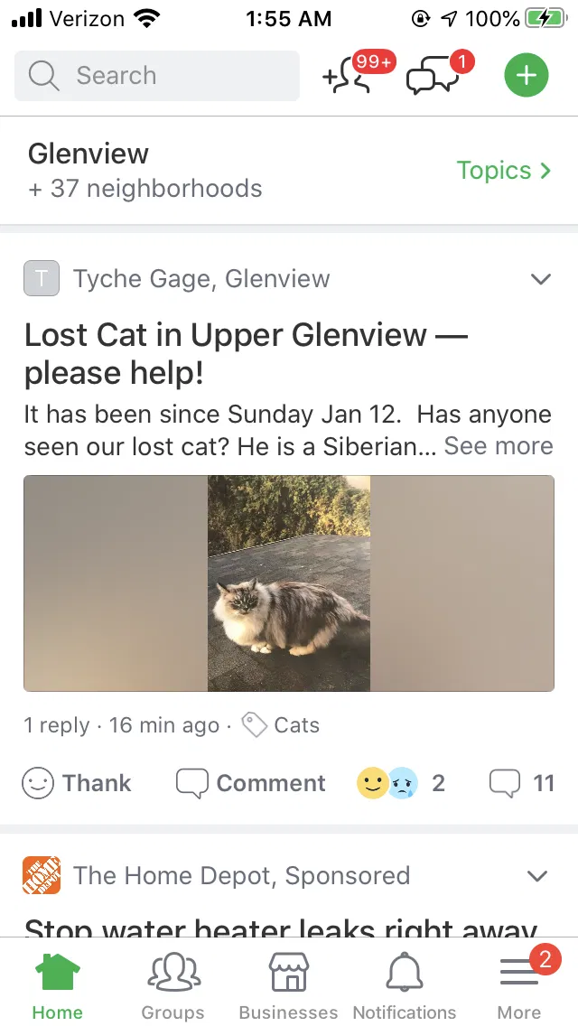 Lost cat in Oakland, CA, 94602
