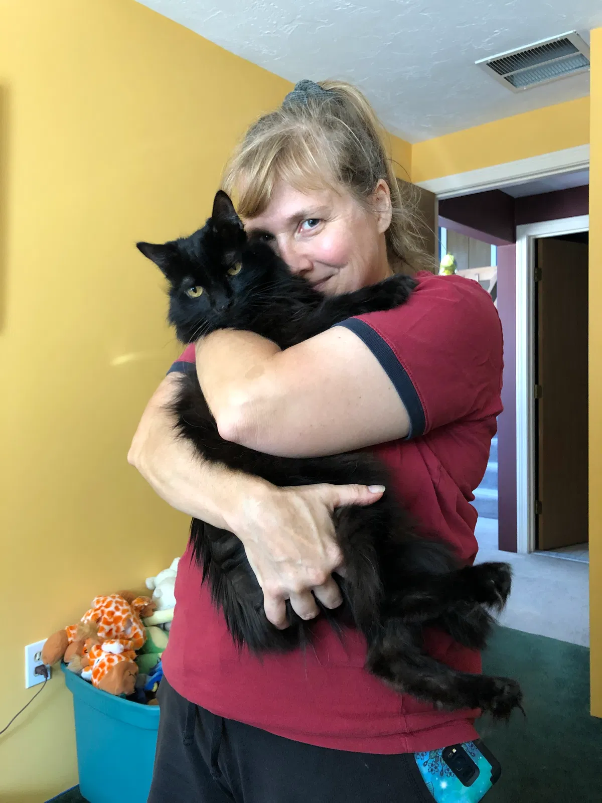 Lost cat in Clinton, MA, 1510