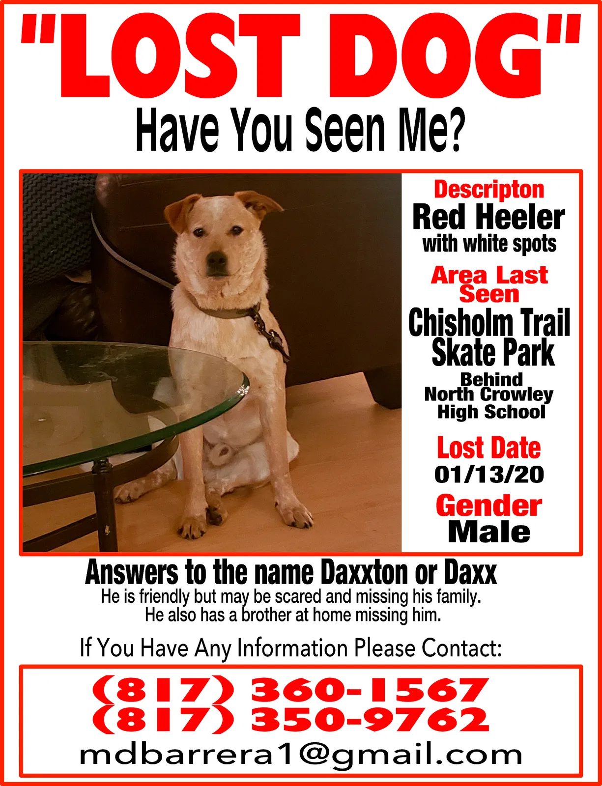 Lost dog in Fort Worth, TX, 76123