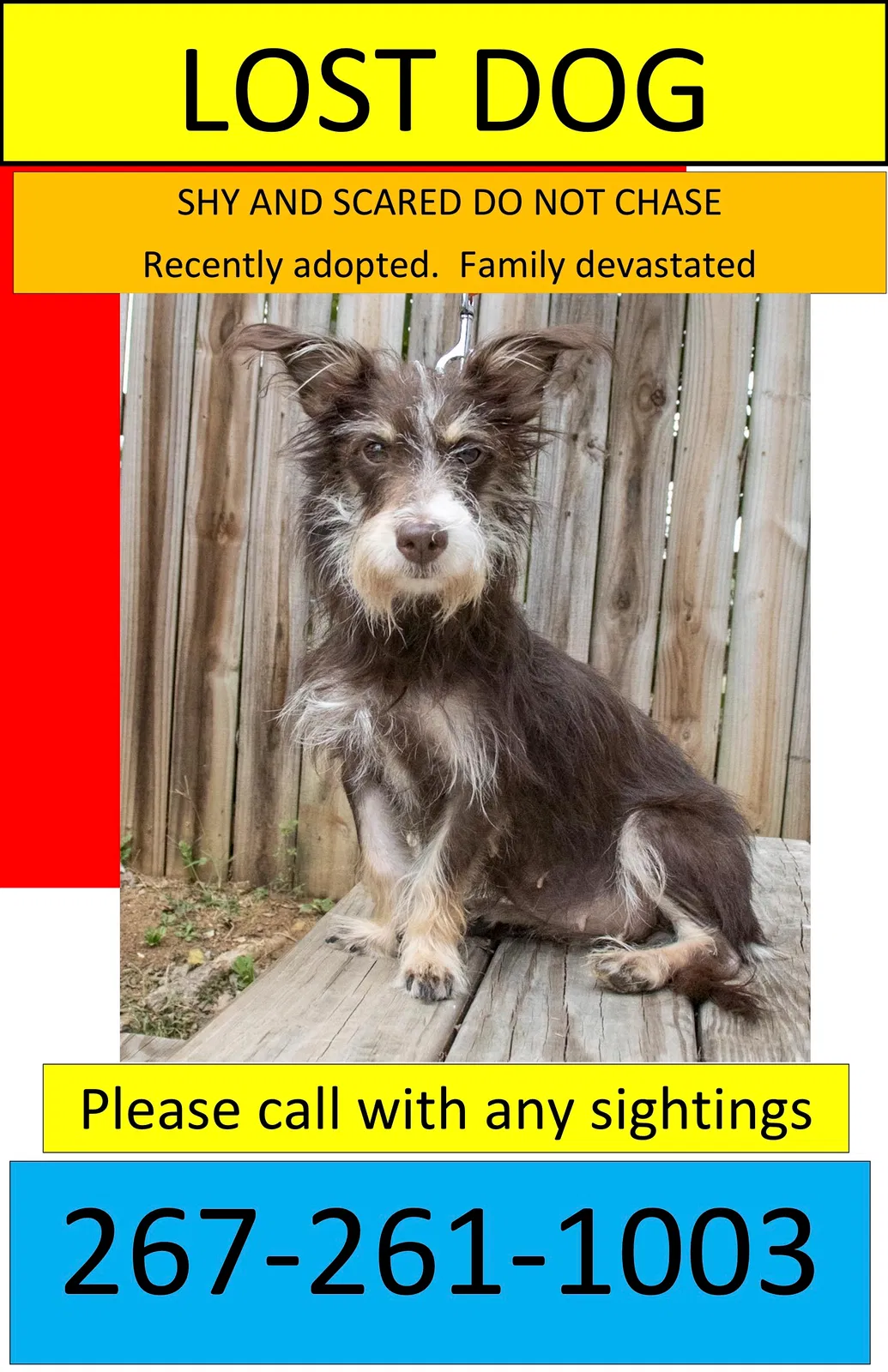 Lost dog in Oaklyn, NJ, 8107