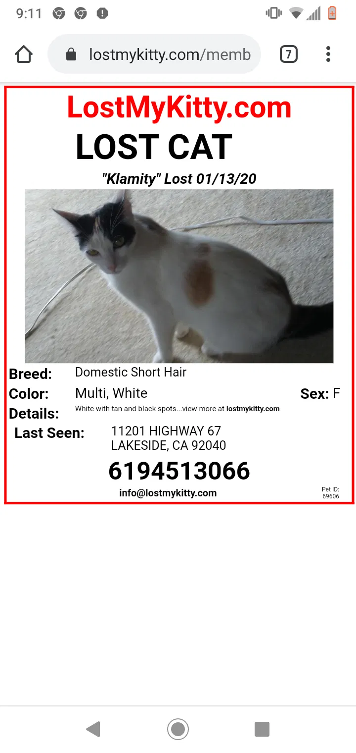 Lost cat in Lakeside, CA, 92040