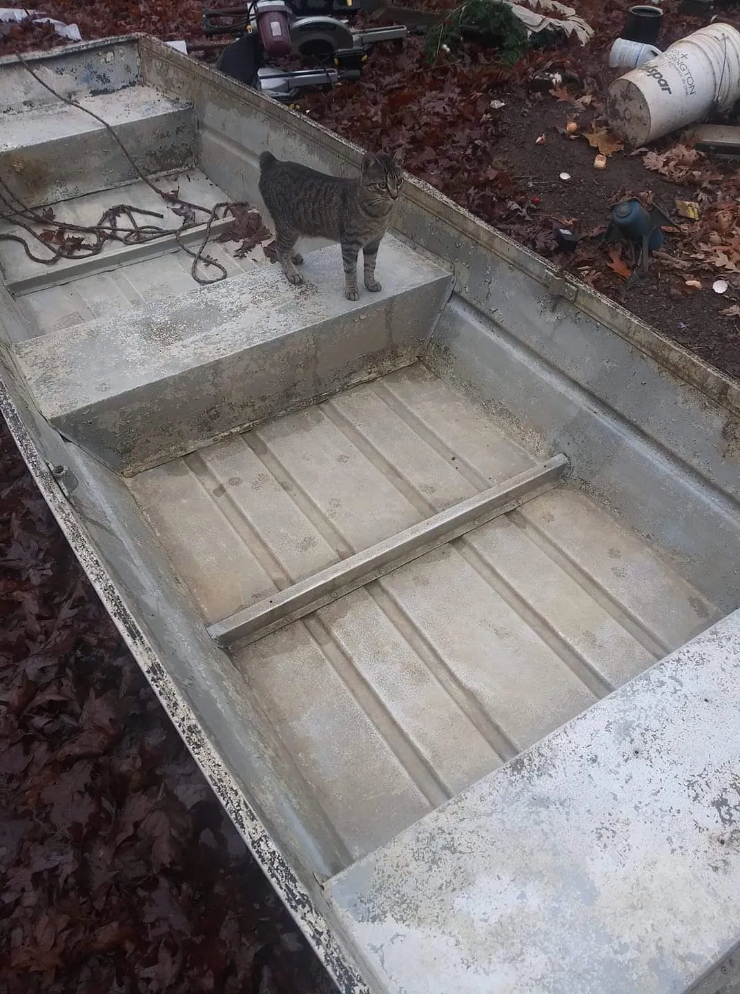 Lost cat in Ohatchee, AL, 36271