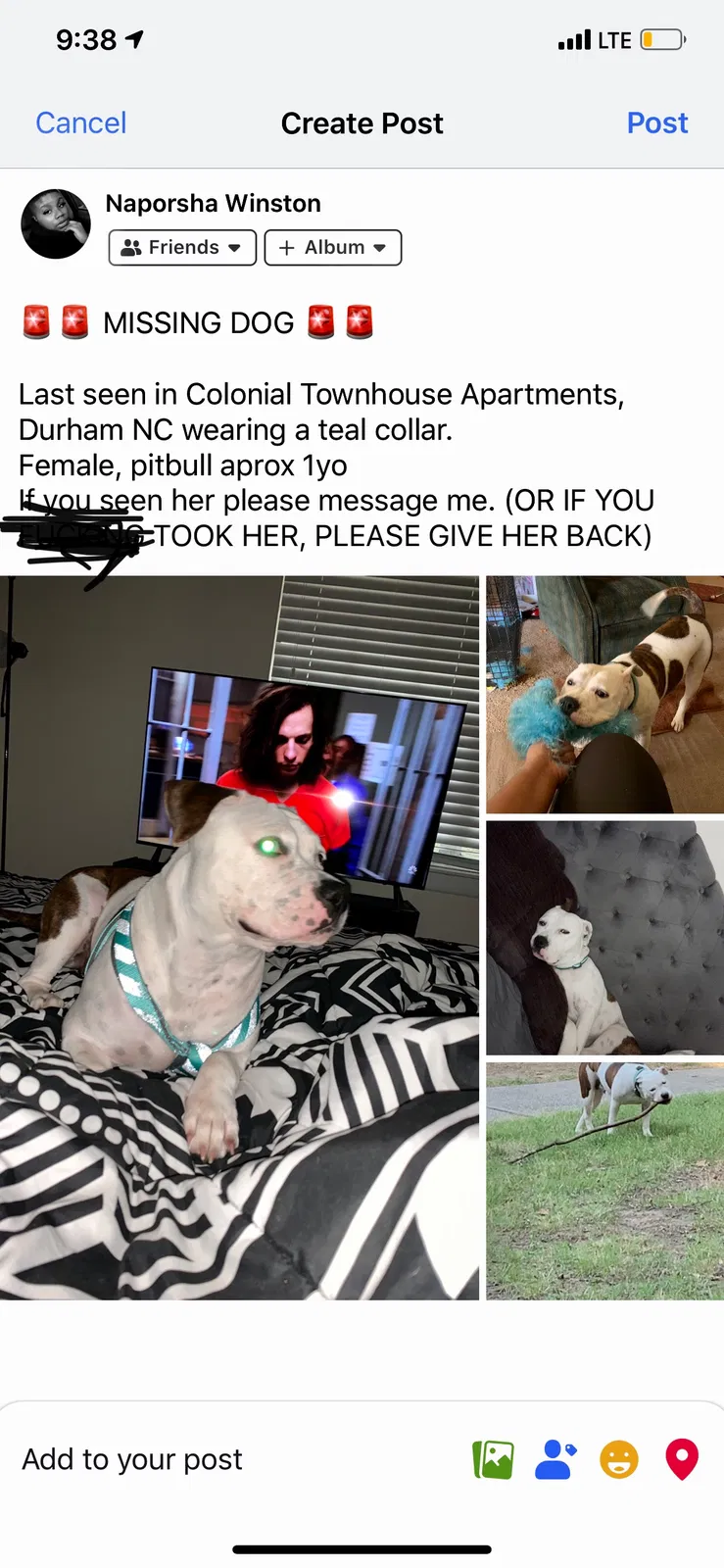 Lost dog in Durham, NC, 27707