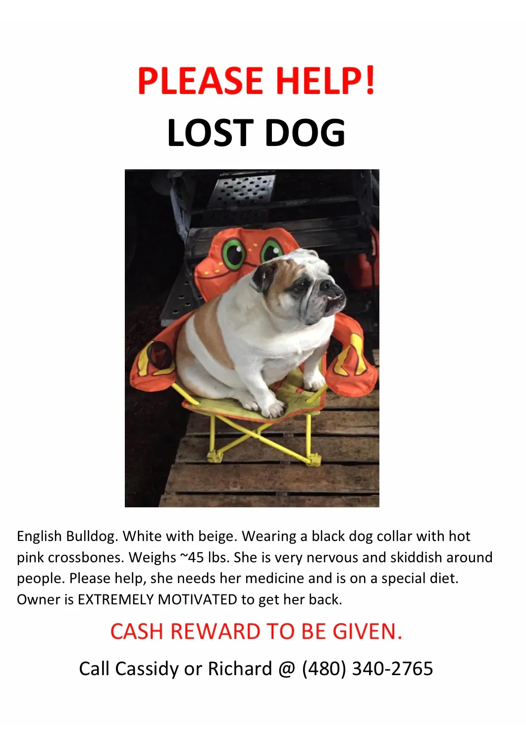 Lost dog in Tucson, AZ, 85705