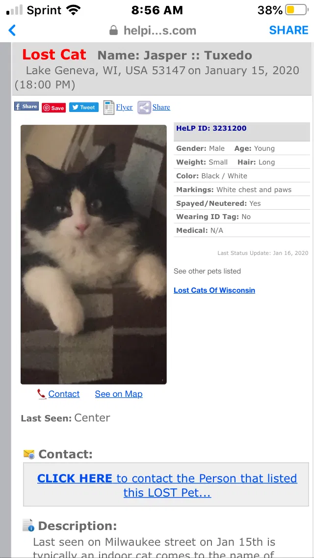 Lost cat in Lake Geneva, WI, 53147