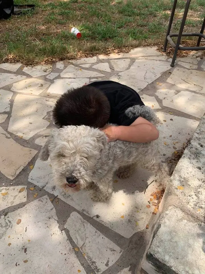Lost dog in Helotes, TX, 78023