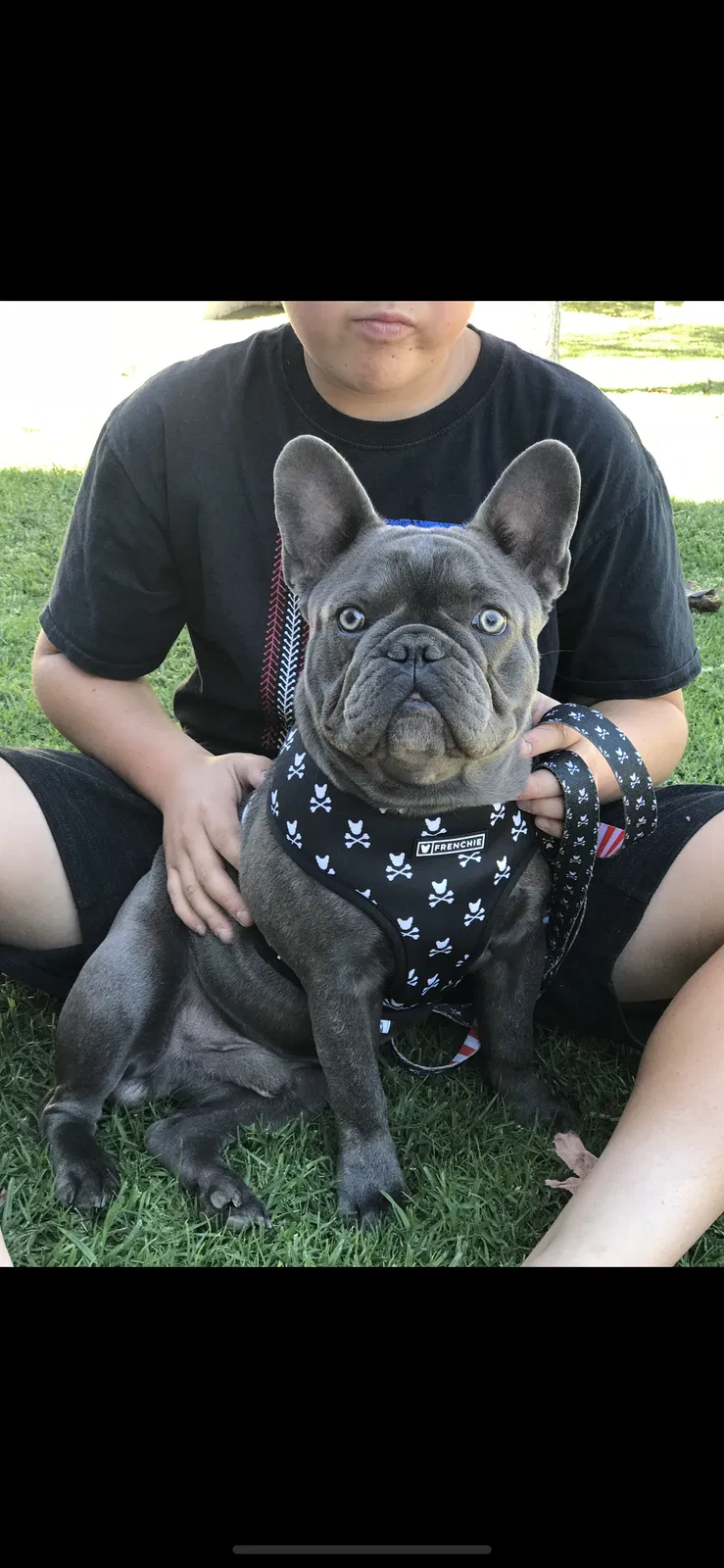 Lost dog in Covina, CA, 91722
