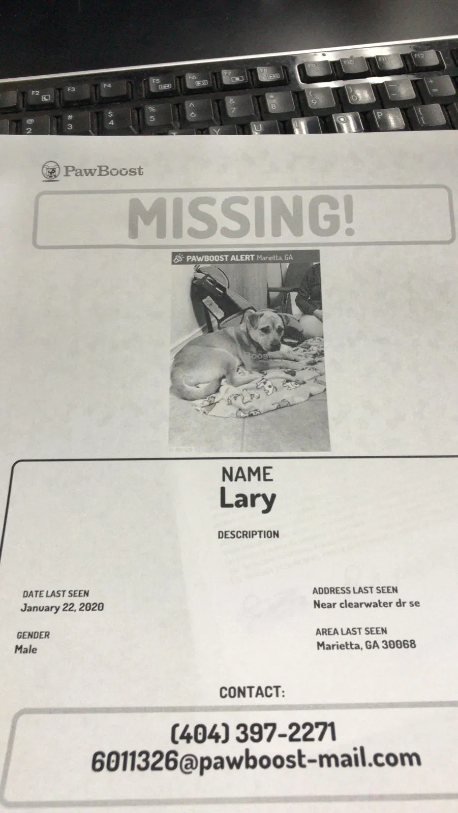 Lost dog in Marietta, GA, 30068