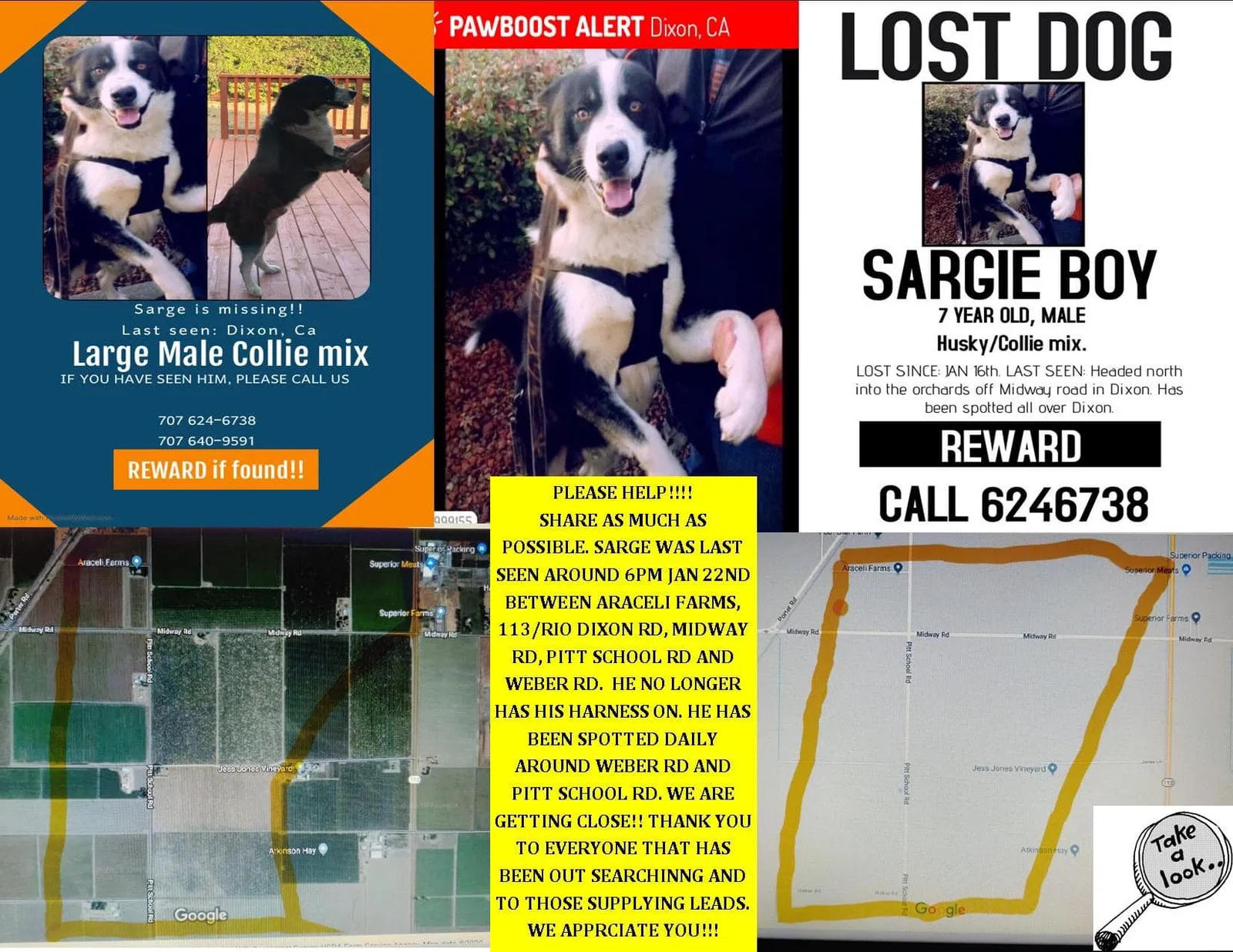 Lost dog in Dixon, CA, 95620