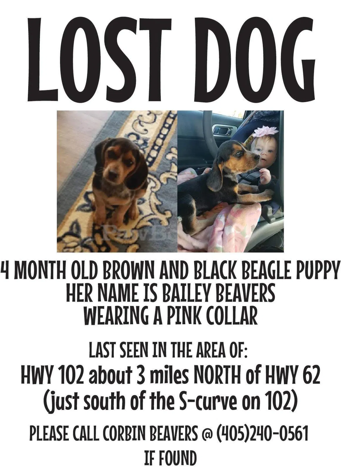 Lost dog in Wellston, OK, 74881