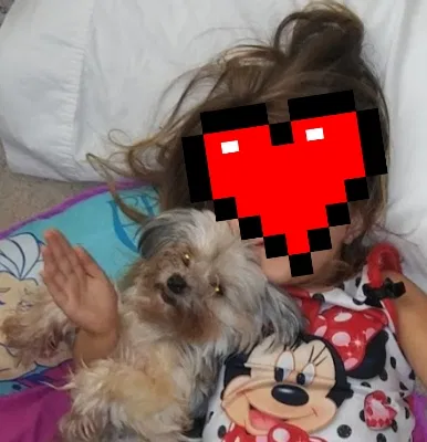 Lost dog in Orlando, FL, 32825