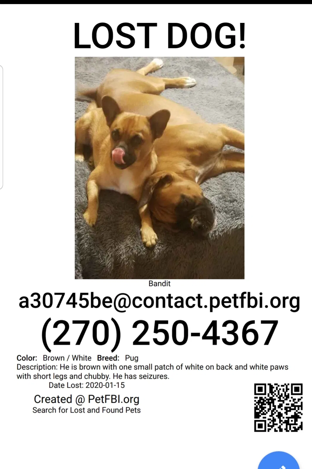 Lost dog in Russell Springs, KY, 42642