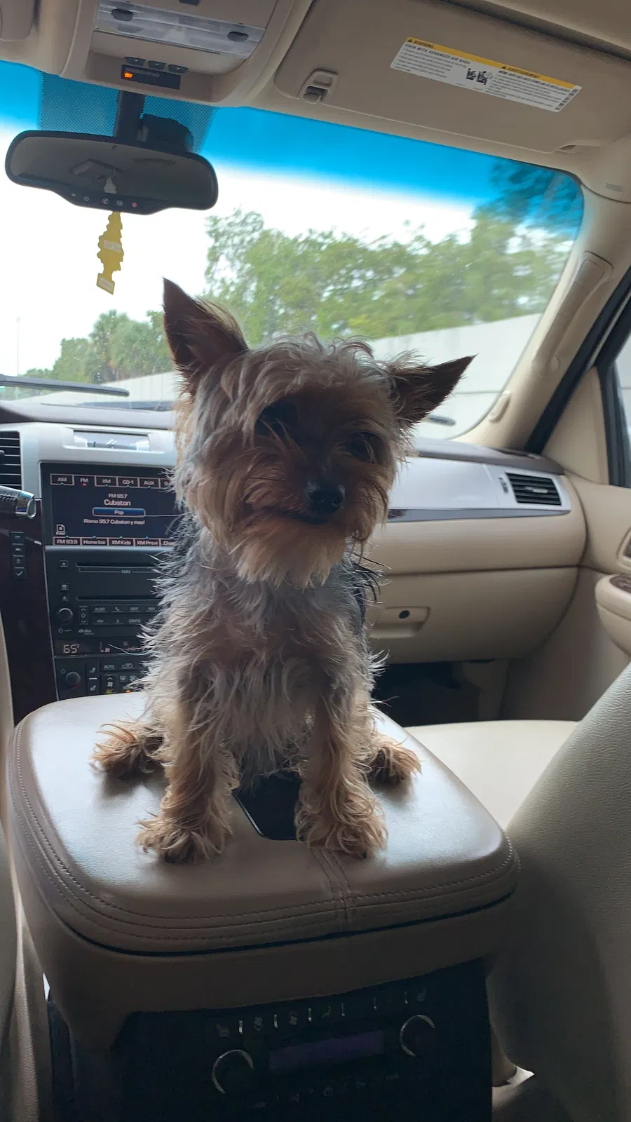 Lost dog in Opa Locka, FL, 33055
