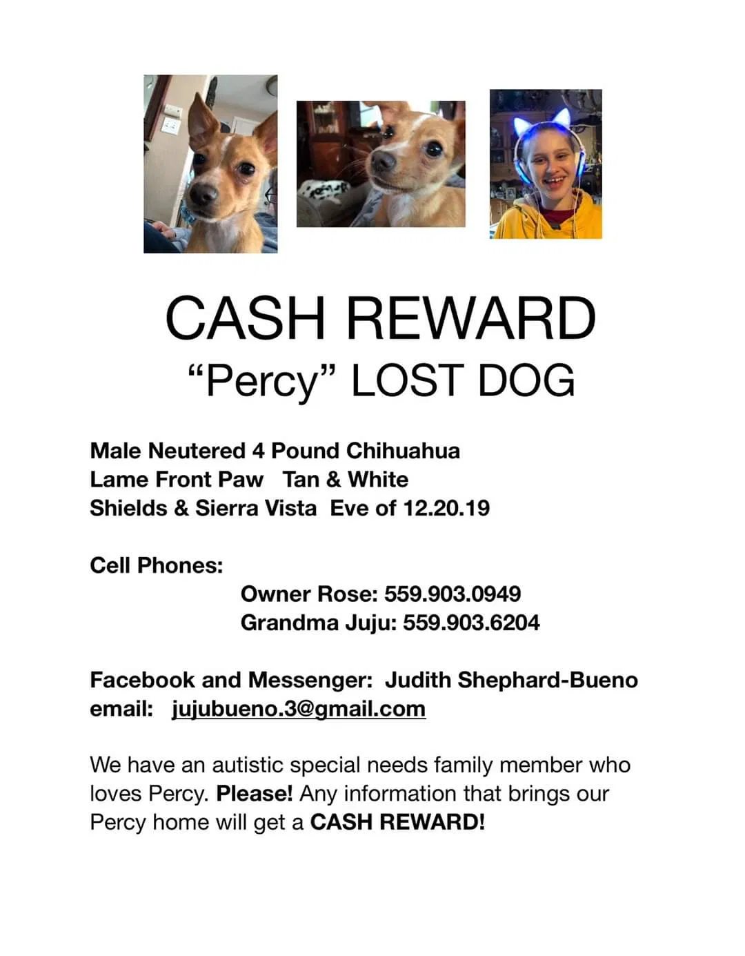 Lost dog in Fresno, CA, 93703