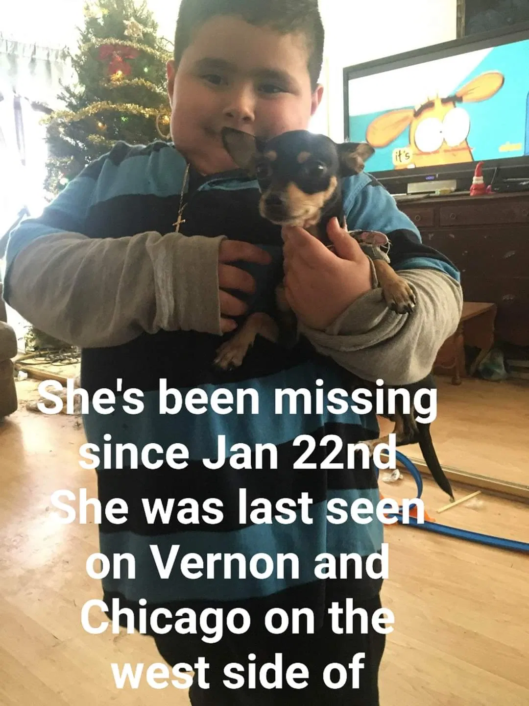 Lost dog in Modesto, CA, 95351