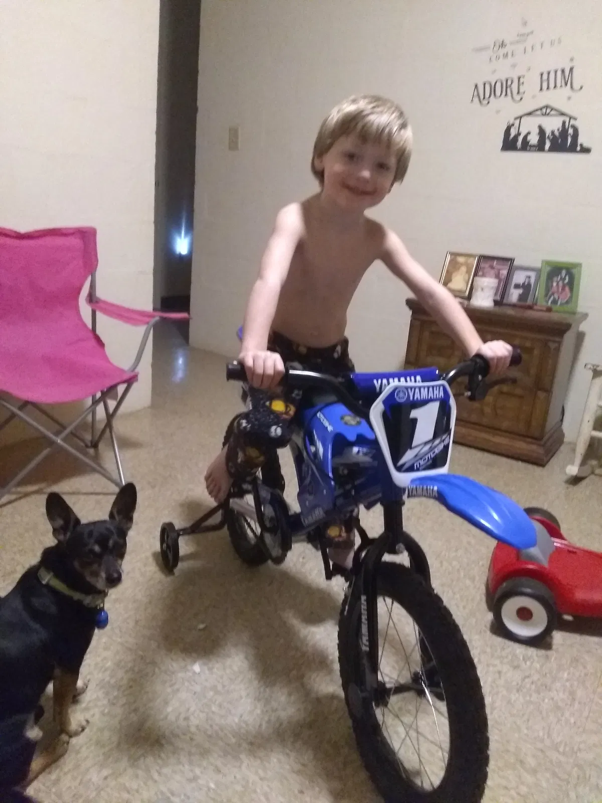 Lost dog in Waverly, TN, 37185