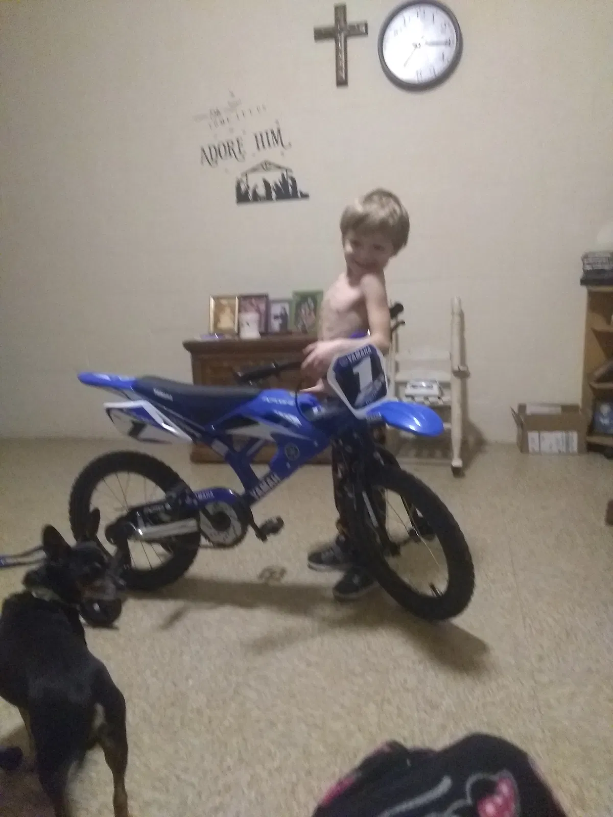 Lost dog in Waverly, TN, 37185