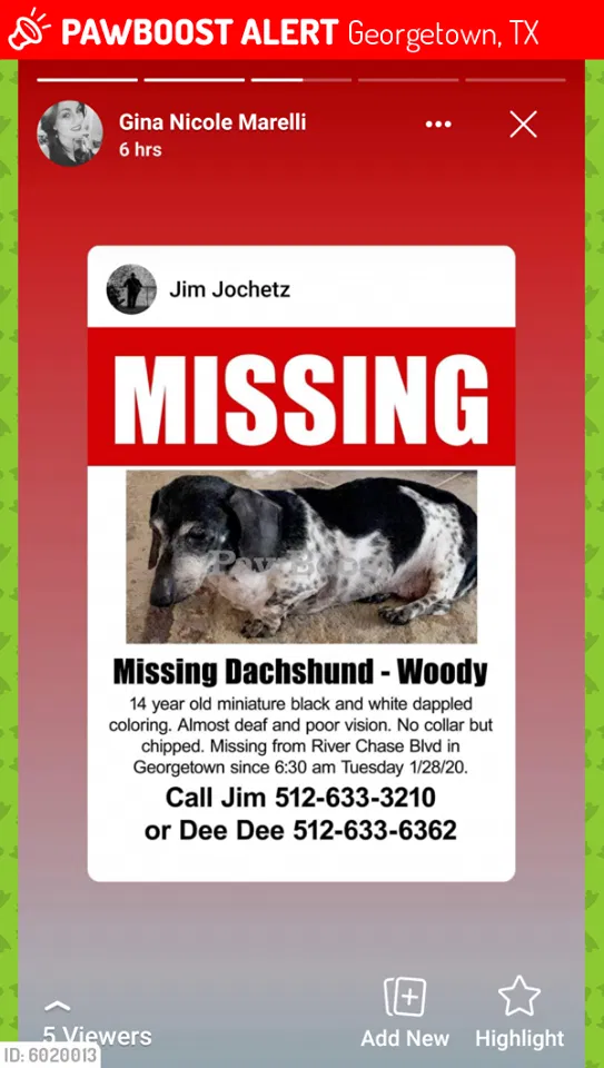 Lost dog in Georgetown, TX, 78628
