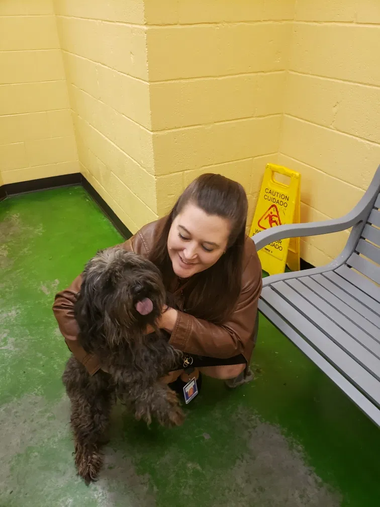 Lost dog in Memphis, TN, 38133
