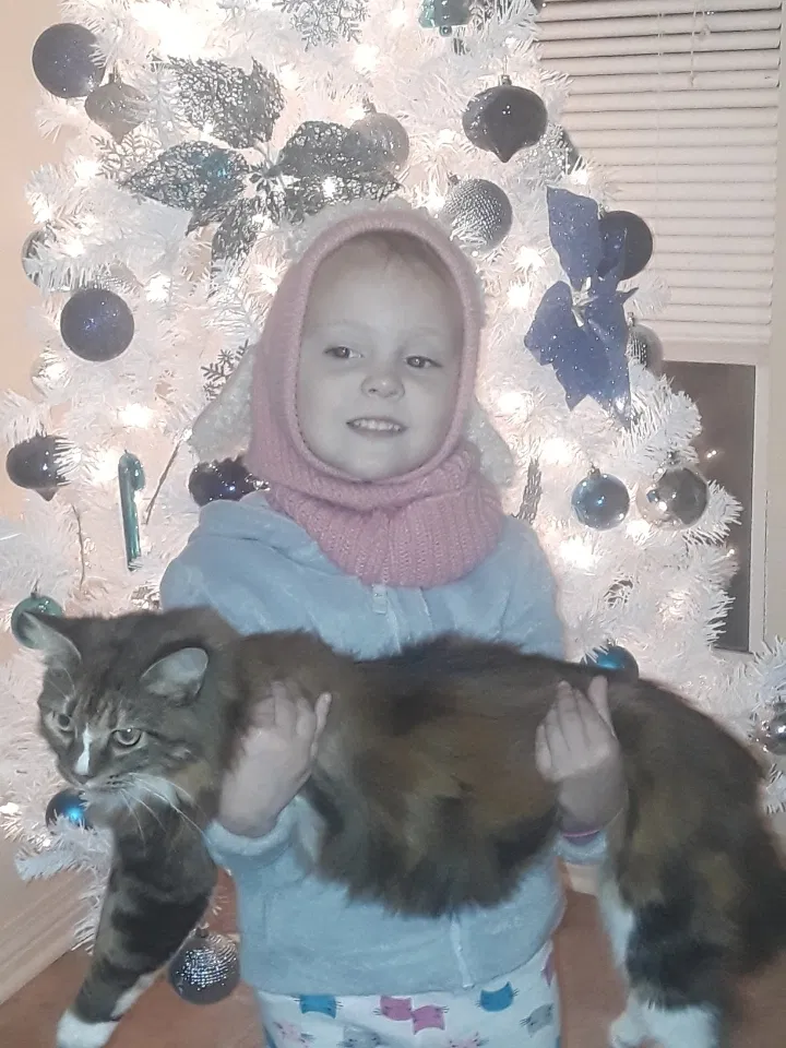 Lost cat in Ponchatoula, LA, 70454