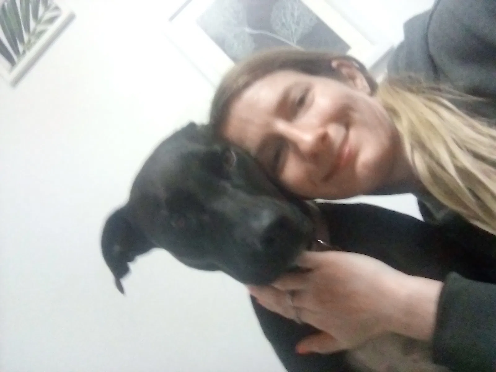 Lost dog in Cochran, GA, 31014