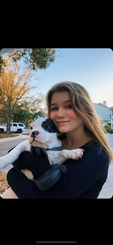 Lost dog in Tarpon Springs, FL, 34689