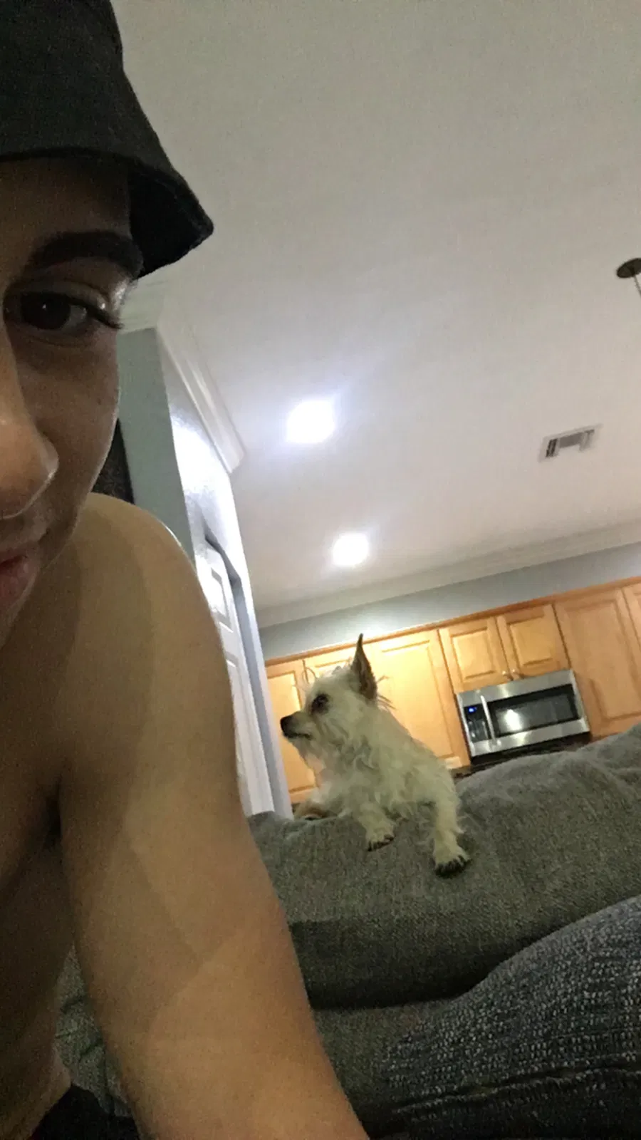 Lost dog in Homestead, FL, 33032