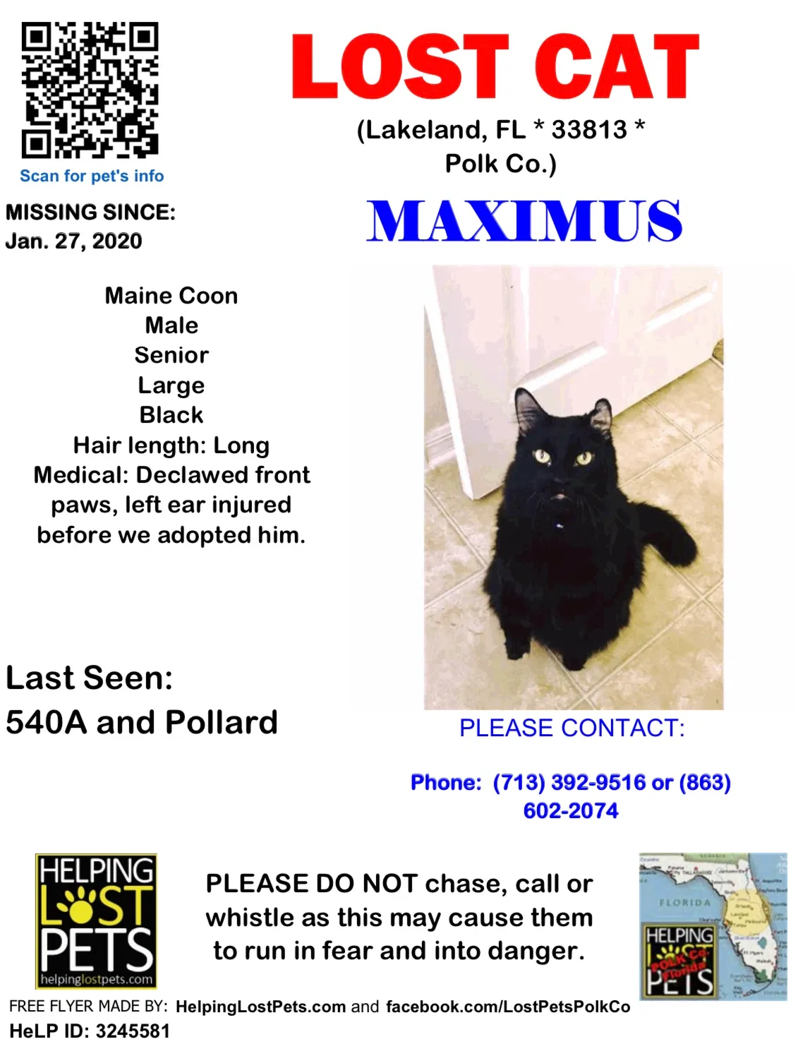 Lost cat in Lakeland, FL, 33813