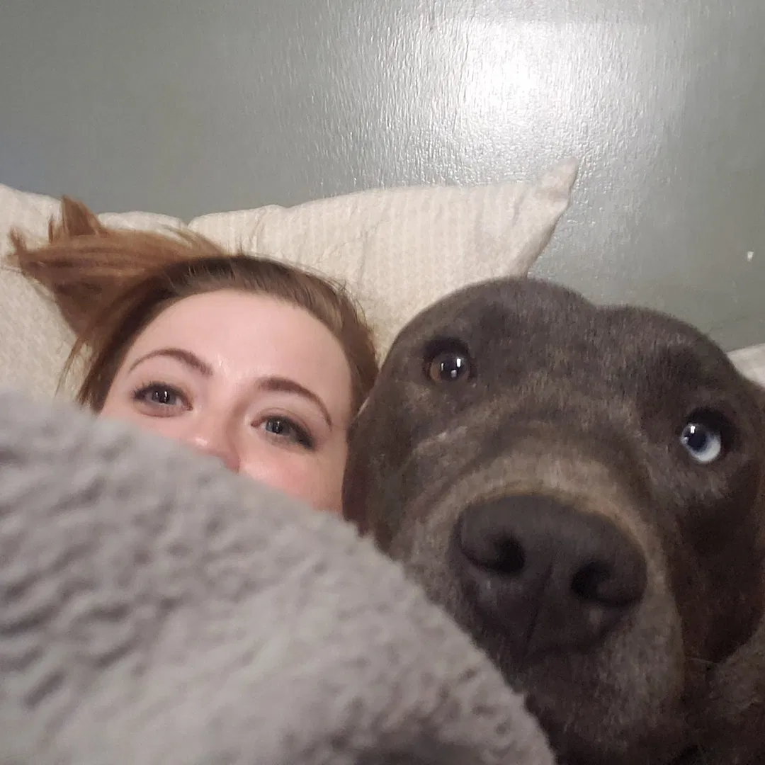 Lost dog in Baileyton, AL, 35019