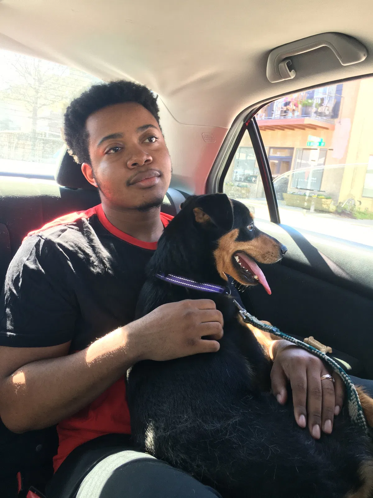 Lost dog in Daphne, AL, 36526
