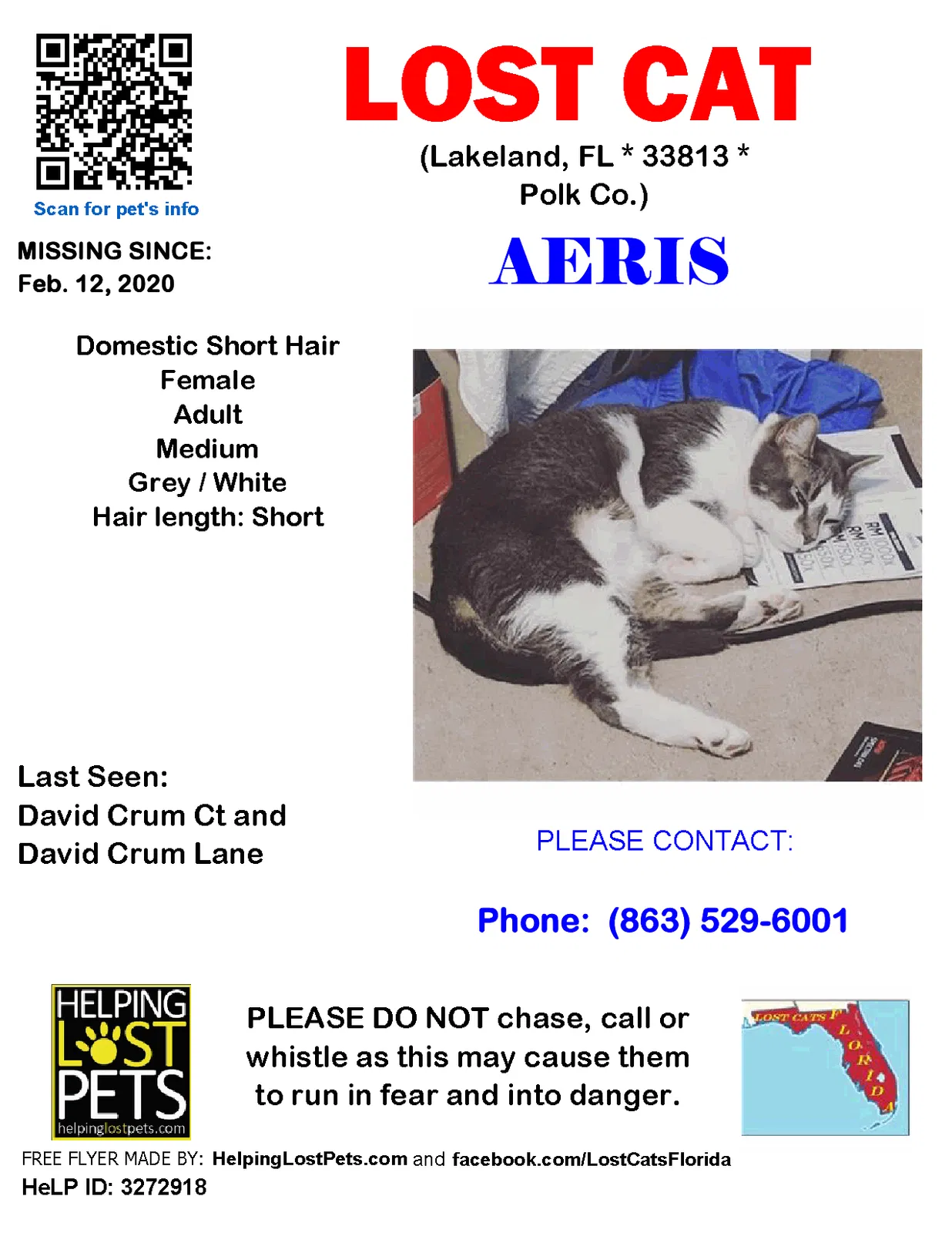 Lost cat in Lakeland, FL, 33813