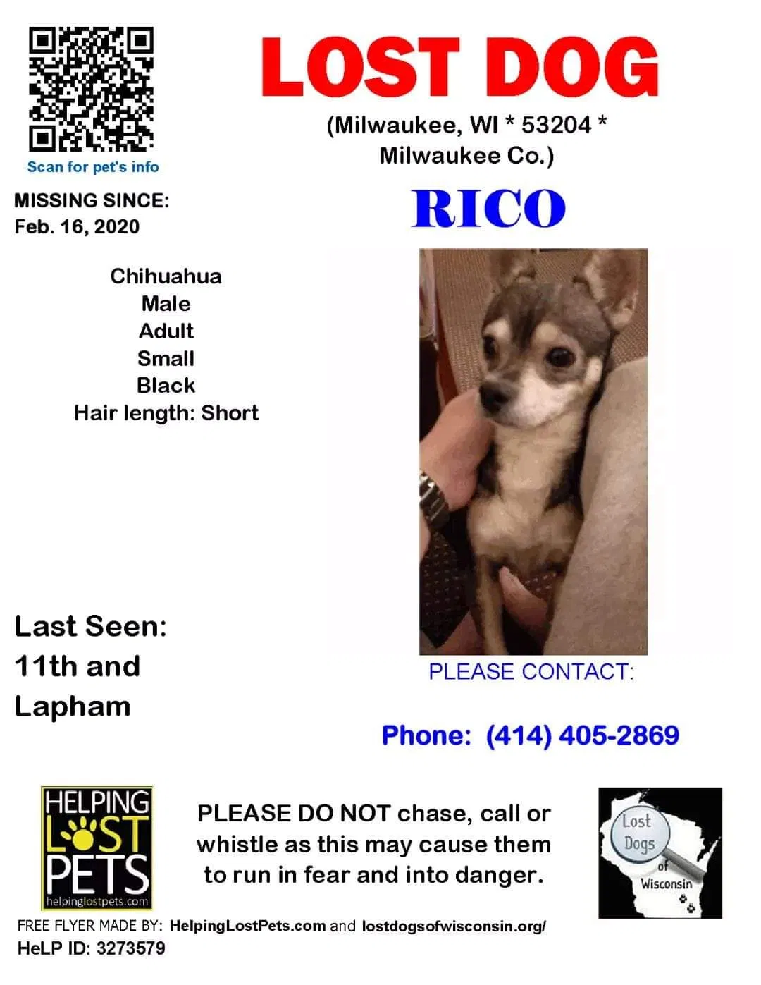 Lost dog in Milwaukee, WI, 53204