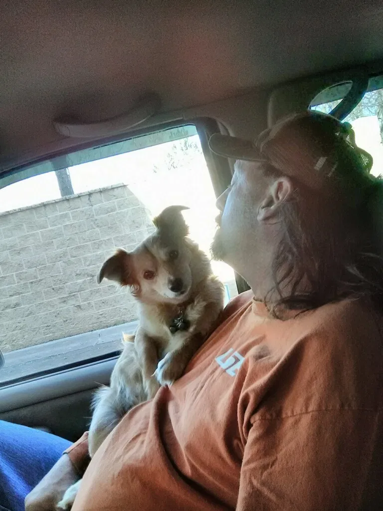 Lost dog in New Braunfels, TX, 78130