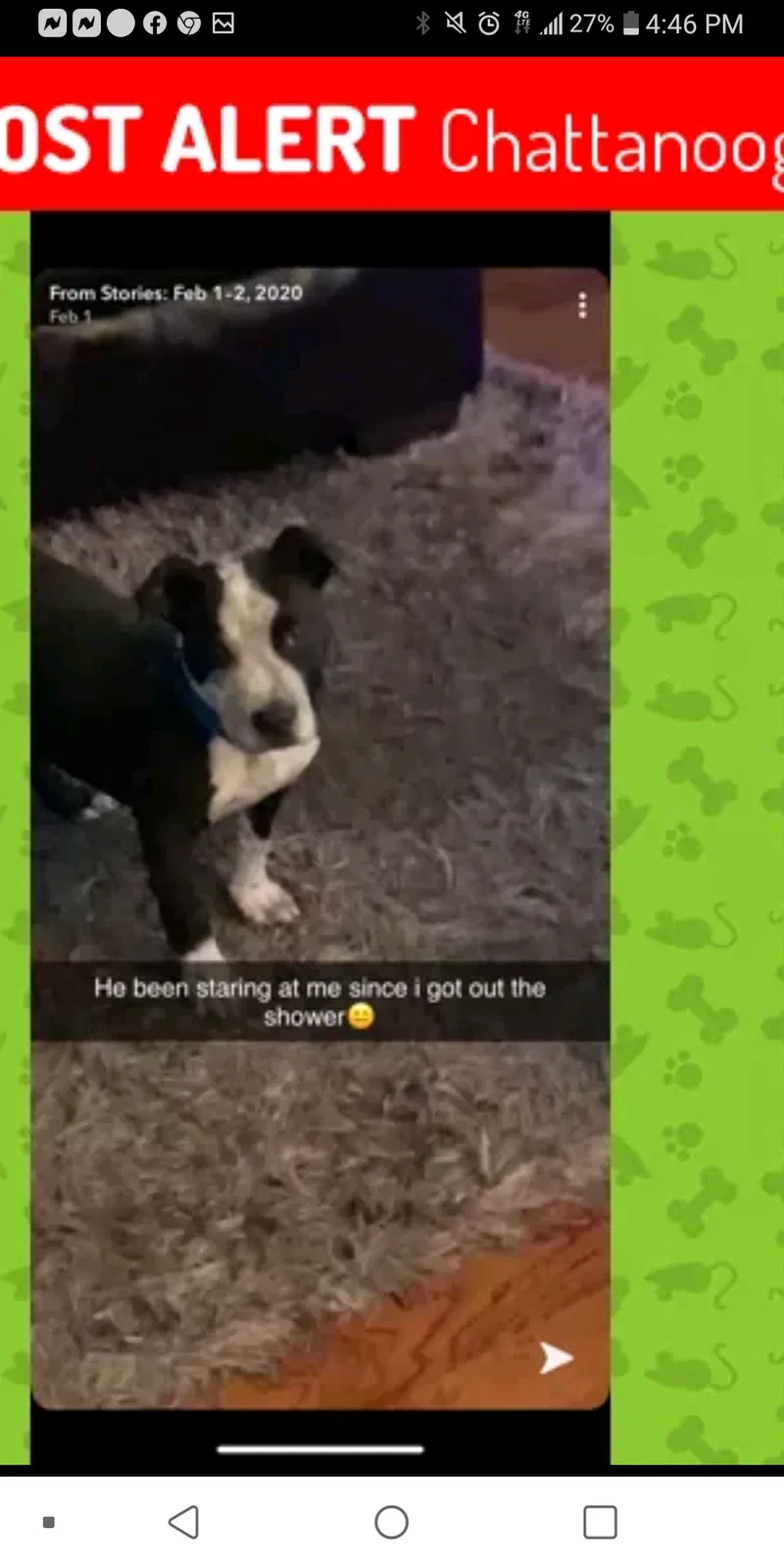 Lost dog in Unknown, TN, 34707