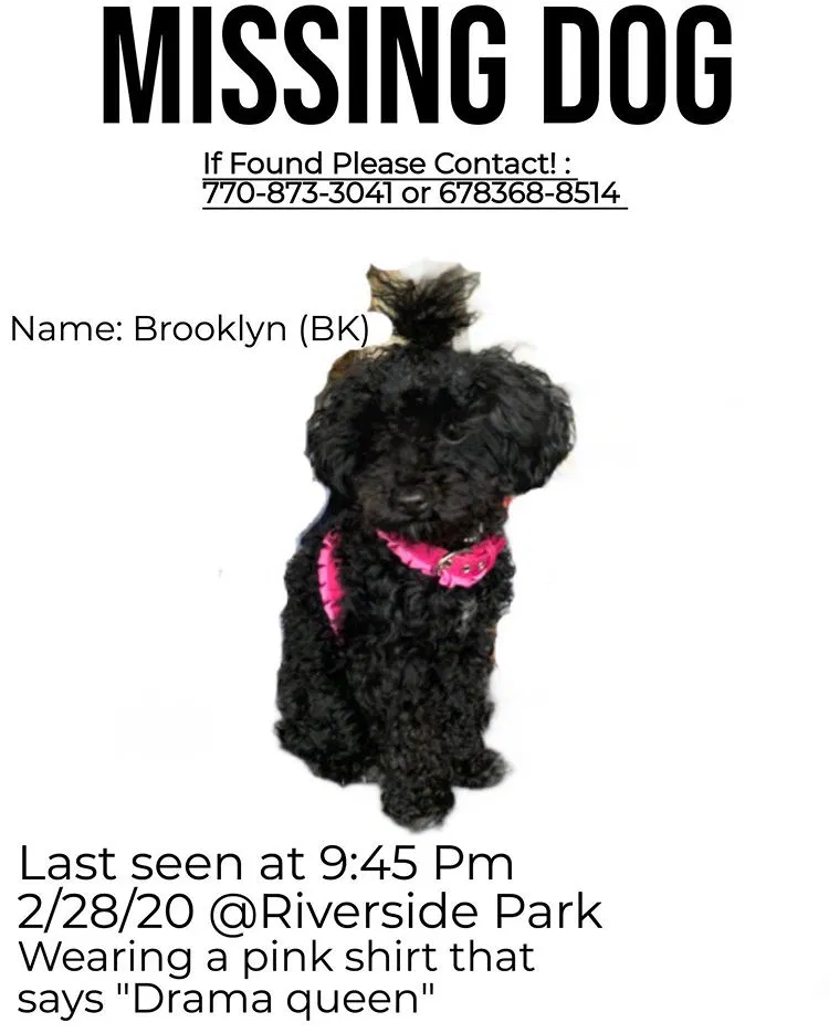 Lost dog in Roswell, GA, 30075