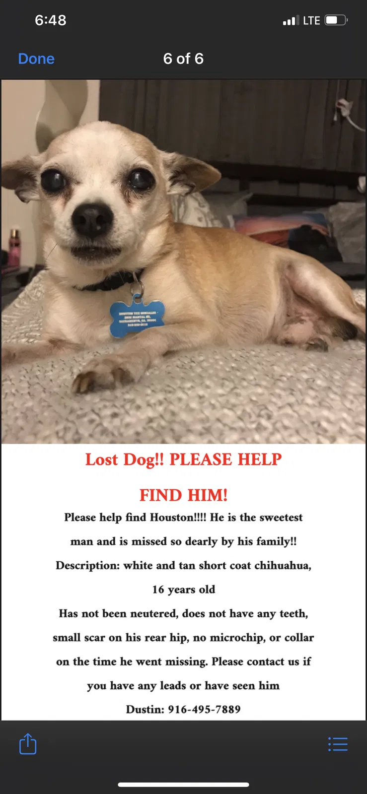Lost dog in Sacramento, CA, 95821
