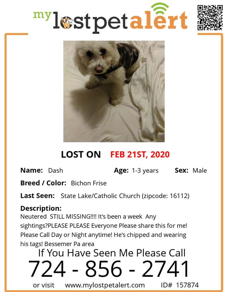 Lost dog in Bessemer, PA, 16112