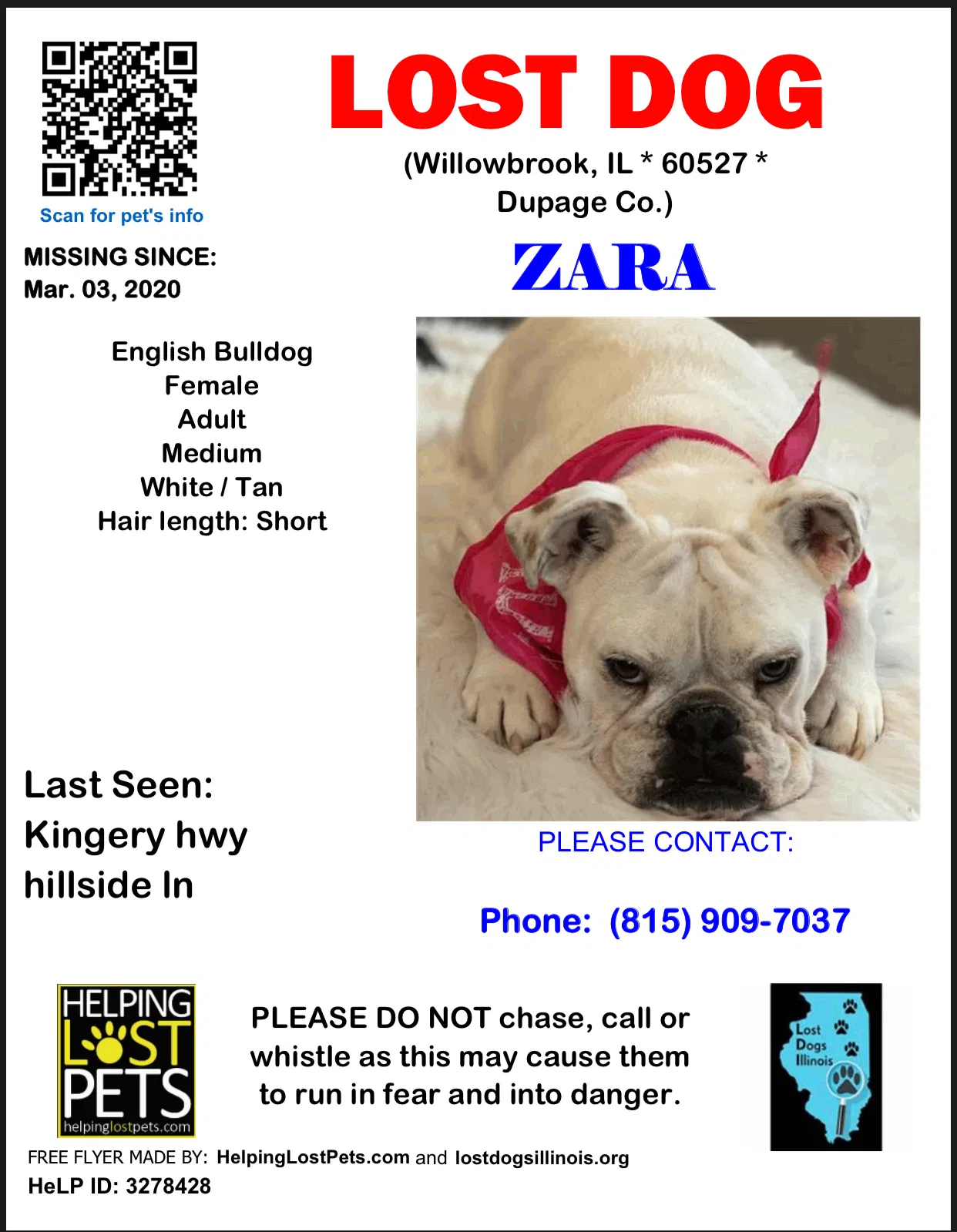 Lost dog in Willowbrook, IL, 60527