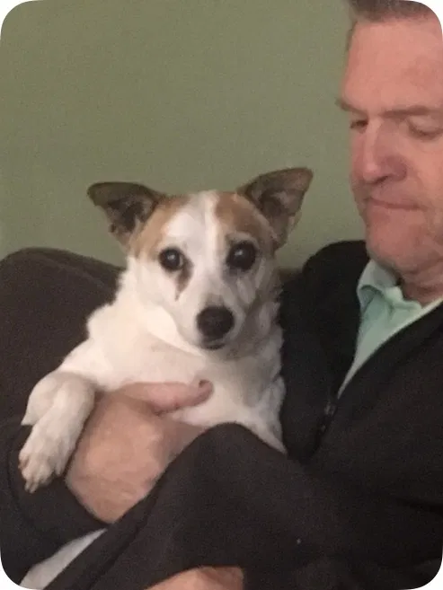 Lost dog in Antioch, CA, 94509