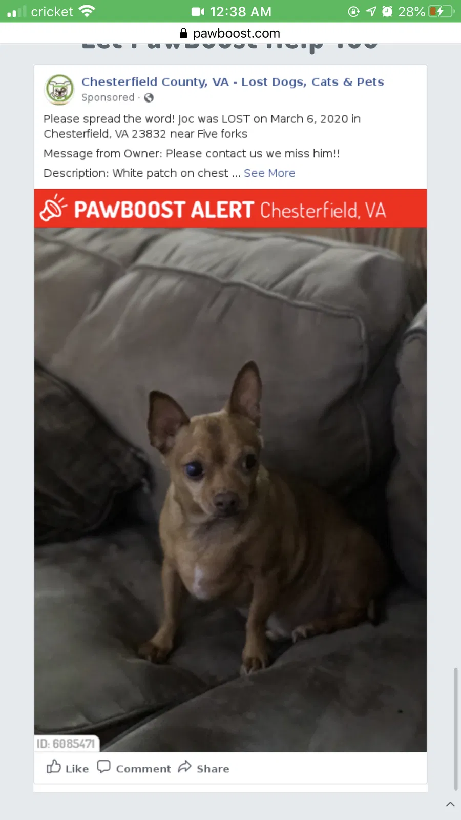 Lost dog in Chesterfield, VA, 23832