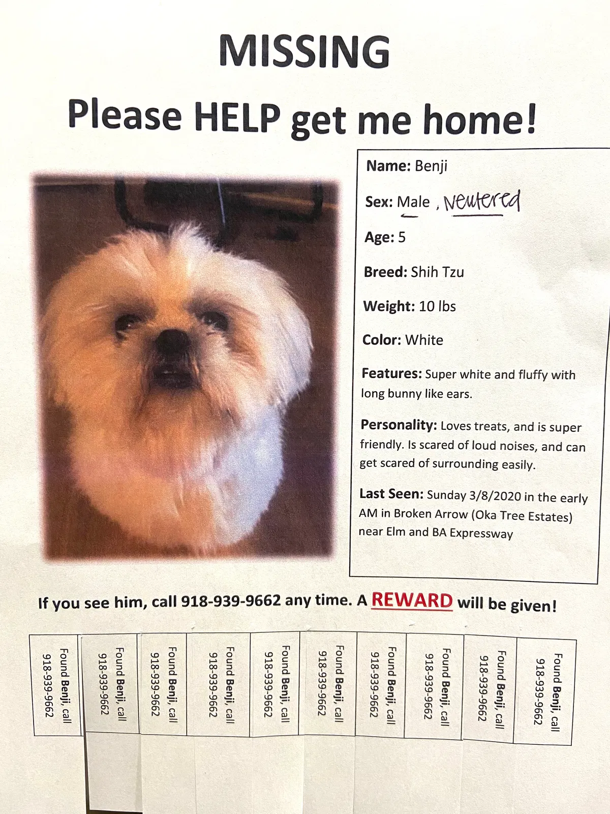Lost dog in Broken Arrow, OK, 74012