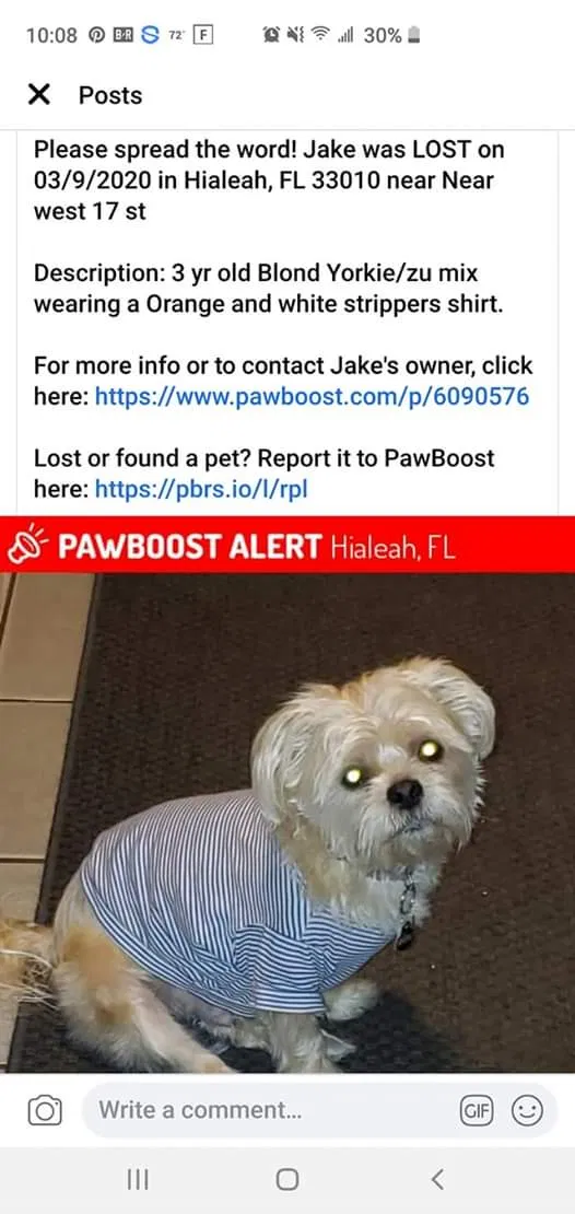 Lost dog in Hialeah, FL, 33010