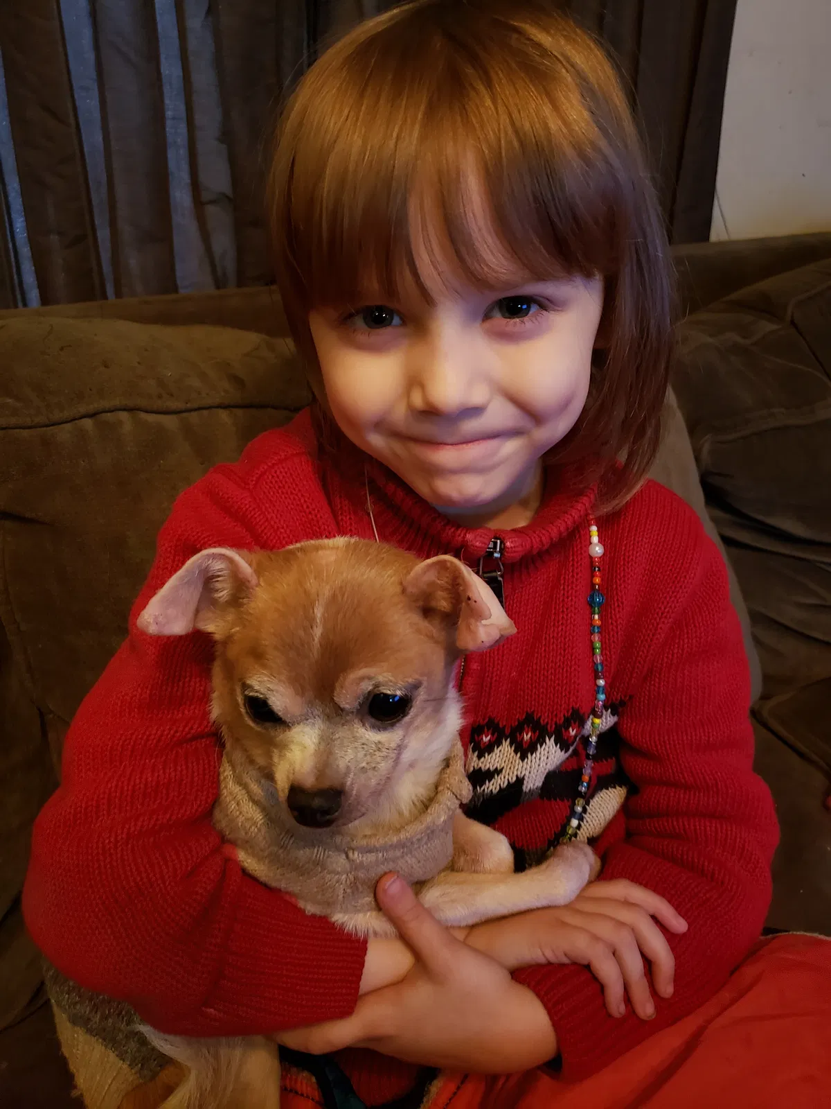 Lost dog in Canton, OH, 44703