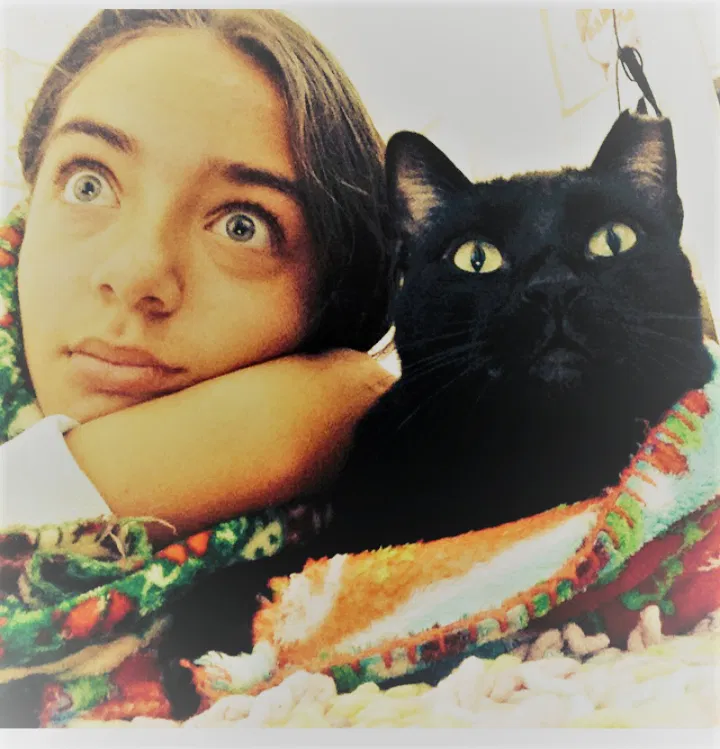 Lost cat in San Jose, CA, 95111