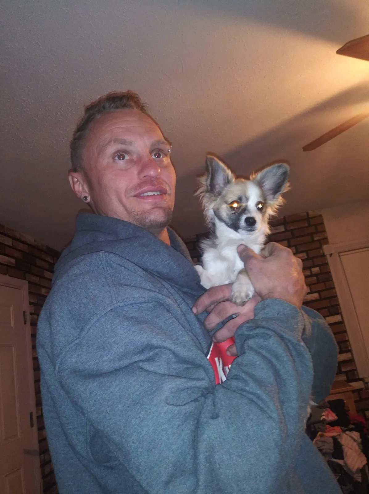 Lost dog in Denver, CO, 80214
