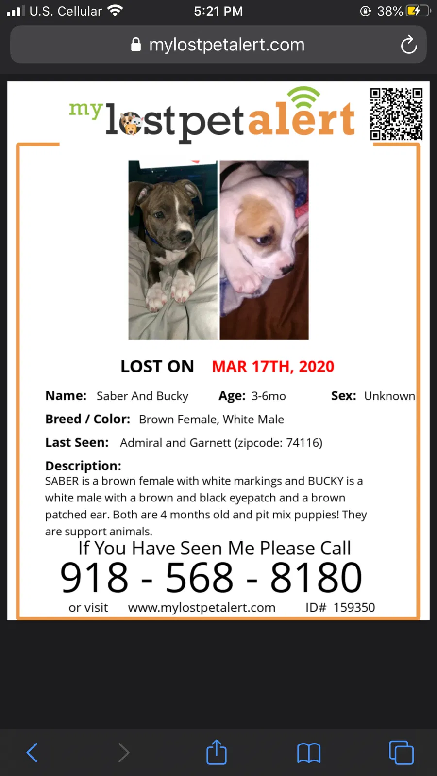 Lost dog in Tulsa, OK, 74116