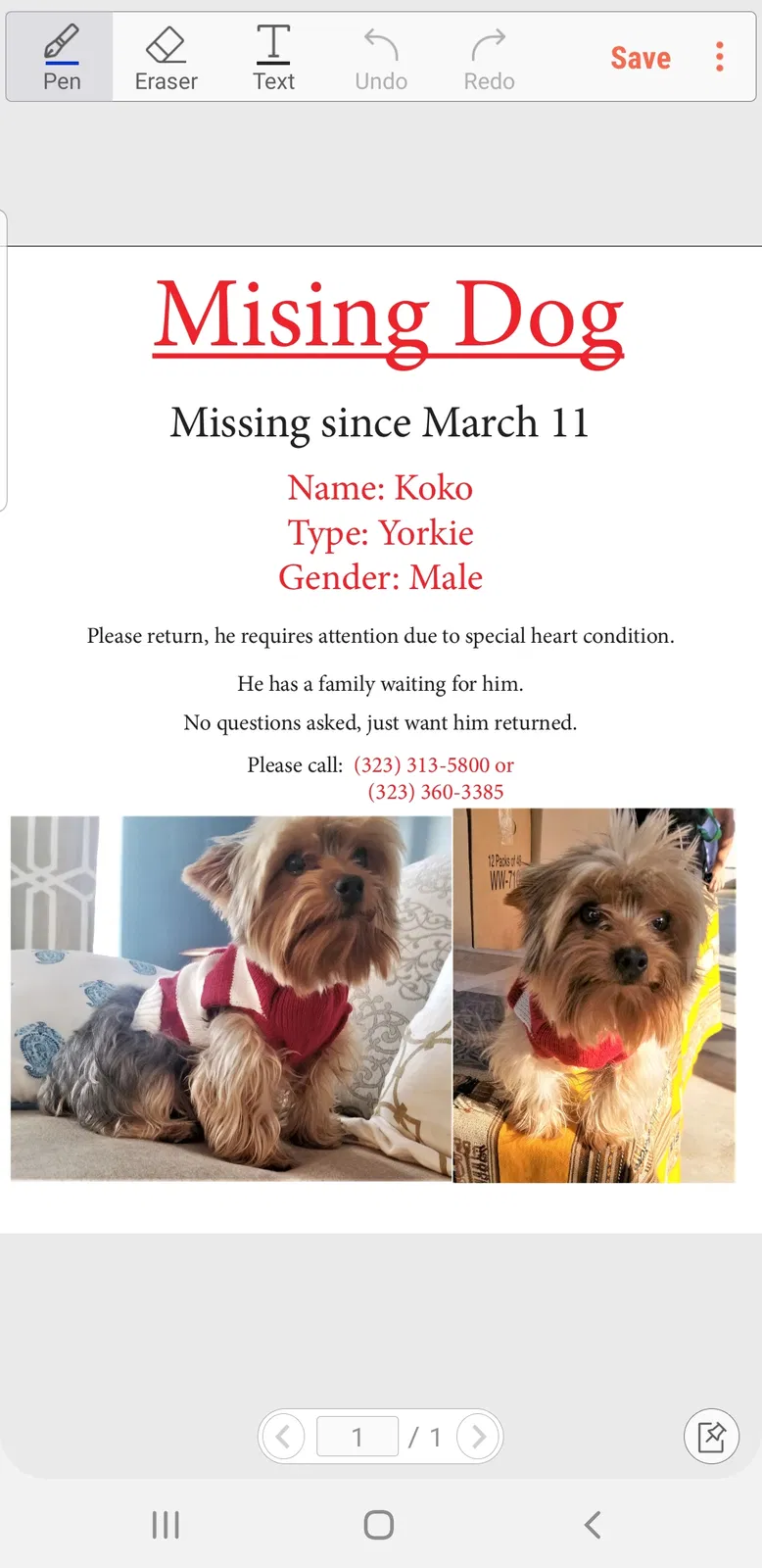 Lost dog in Los Angeles, CA, 90023