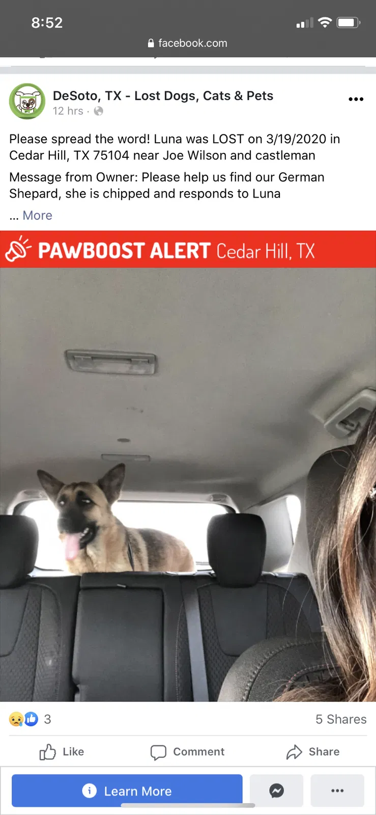 Lost dog in Cedar Hill, TX, 75104