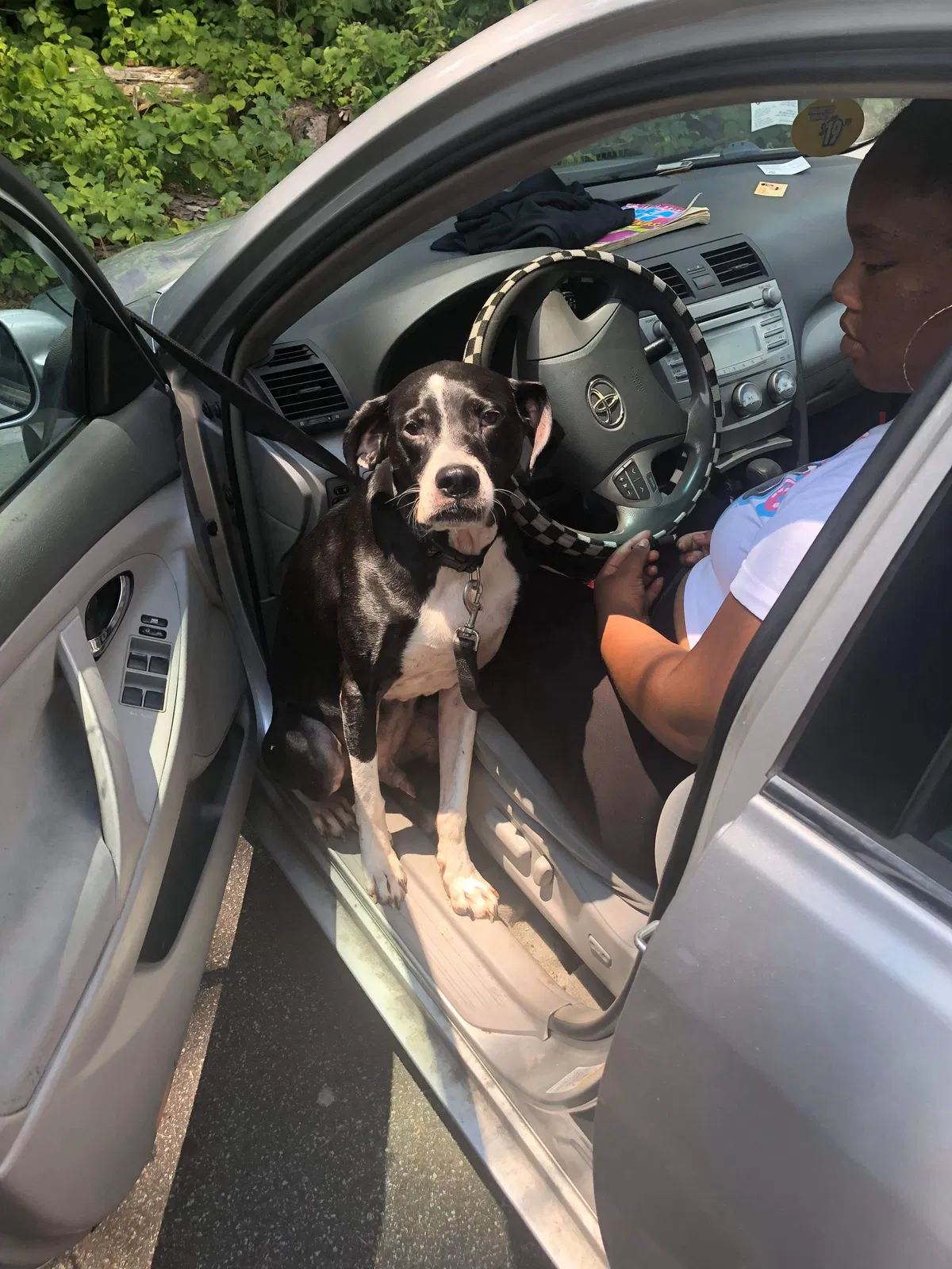 Lost dog in Atlanta, GA, 30314