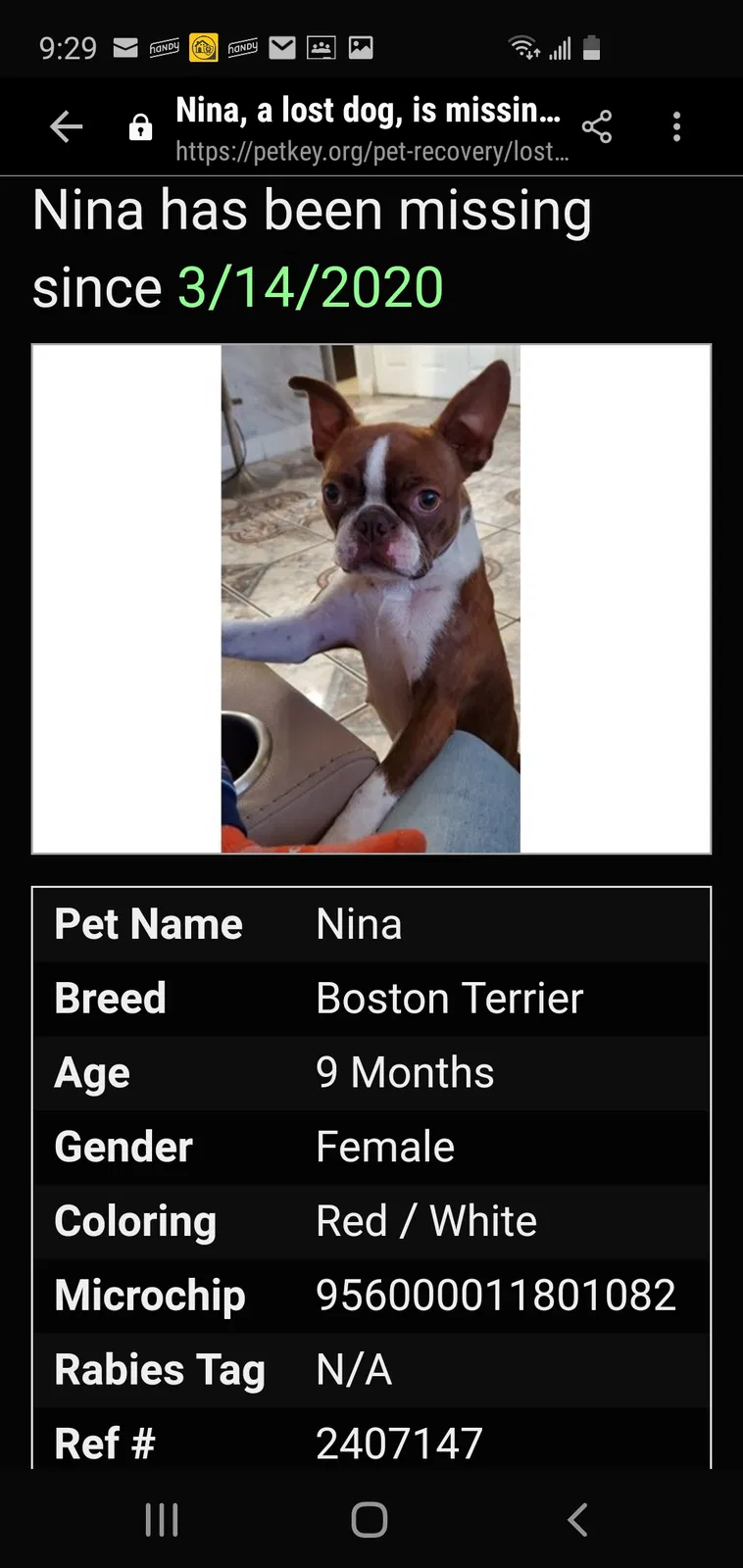Lost dog in Opa Locka, FL, 33054